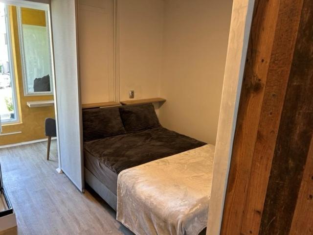 Apartment Gal Novo Mesto Bagian luar foto